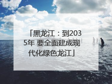 黑龙江：到2035年 要全面建成现代化绿色龙江