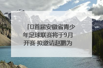 ﻿首届安徽省青少年足球联赛将于9月开赛 拟邀请赵鹏为先导赛开球