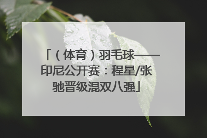 （体育）羽毛球——印尼公开赛：程星/张驰晋级混双八强