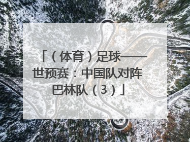 （体育）足球——世预赛：中国队对阵巴林队（3）