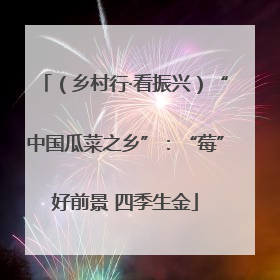 （乡村行·看振兴）“中国瓜菜之乡”：“莓”好前景 四季生金