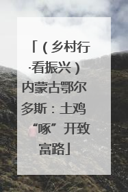 （乡村行·看振兴）内蒙古鄂尔多斯：土鸡“啄”开致富路