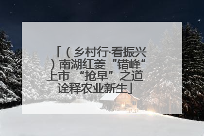 （乡村行·看振兴）南湖红菱“错峰”上市 “抢早”之道诠释农业新生