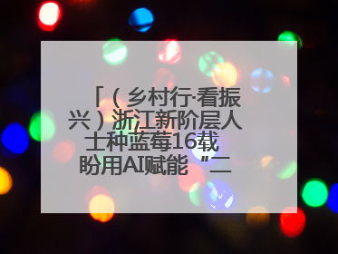 （乡村行·看振兴）浙江新阶层人士种蓝莓16载 盼用AI赋能“二次创业”