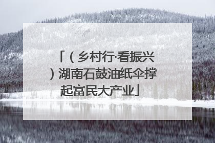 （乡村行·看振兴）湖南石鼓油纸伞撑起富民大产业