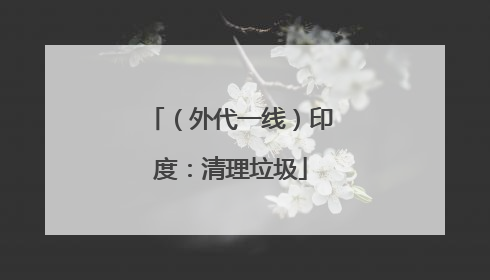 （外代一线）印度：清理垃圾