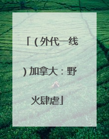 （外代一线）加拿大：野火肆虐