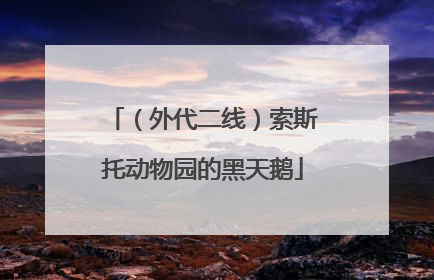 （外代二线）索斯托动物园的黑天鹅