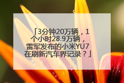 3分钟20万辆，1个小时28.9万辆，雷军发布的小米YU7在刷新汽车界记录？