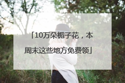 10万朵栀子花，本周末这些地方免费领