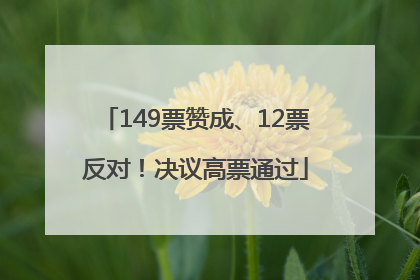 149票赞成、12票反对！决议高票通过