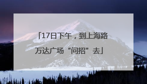 17日下午，到上海路万达广场“问招”去