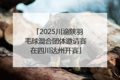 2025川渝陕羽毛球混合团体邀请赛在四川达州开赛