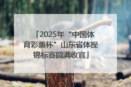 2025年“中国体育彩票杯”山东省体操锦标赛圆满收官