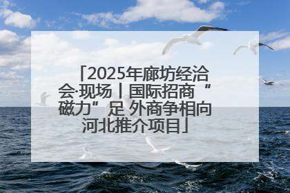2025年廊坊经洽会·现场丨国际招商“磁力”足 外商争相向河北推介项目