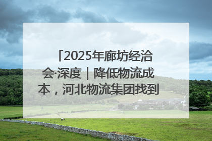 2025年廊坊经洽会·深度｜降低物流成本，河北物流集团找到一把“金钥匙”