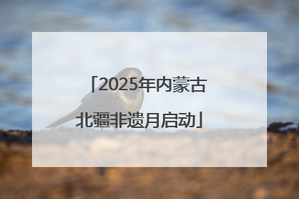 2025年内蒙古北疆非遗月启动