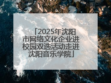 2025年沈阳市网络文化企业进校园双选活动走进沈阳音乐学院