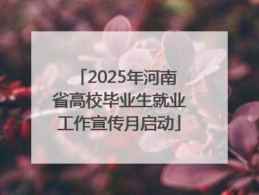 2025年河南省高校毕业生就业工作宣传月启动