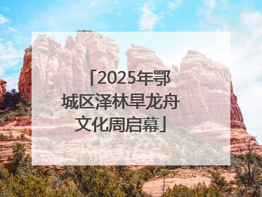 2025年鄂城区泽林旱龙舟文化周启幕