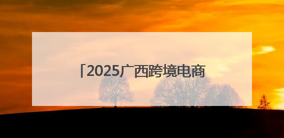 2025广西跨境电商推介会在泰国曼谷举行