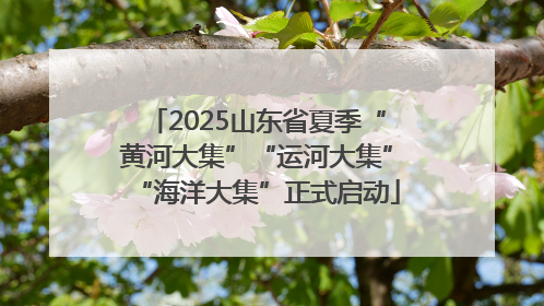 2025山东省夏季“黄河大集”“运河大集”“海洋大集”正式启动