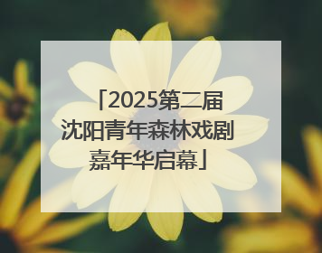 2025第二届沈阳青年森林戏剧嘉年华启幕