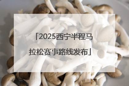 2025西宁半程马拉松赛事路线发布