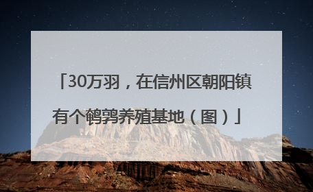 30万羽，在信州区朝阳镇有个鹌鹑养殖基地（图）