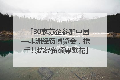 30家苏企参加中国—非洲经贸博览会，携手共结经贸硕果繁花