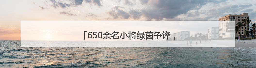 650余名小将绿茵争锋，市青少年足球锦标赛落幕