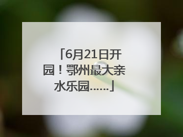 6月21日开园！鄂州最大亲水乐园……
