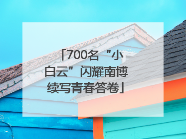 700名“小白云”闪耀南博续写青春答卷
