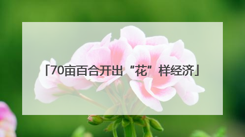 70亩百合开出“花”样经济