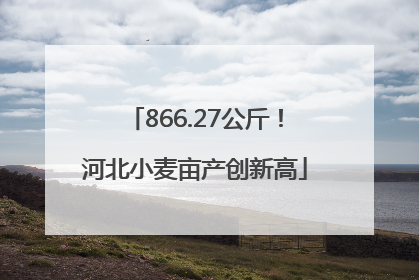 866.27公斤！河北小麦亩产创新高