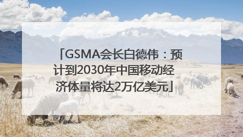 GSMA会长白德伟：预计到2030年中国移动经济体量将达2万亿美元