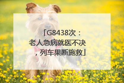 G8438次：老人急病就医不决，列车果断施救