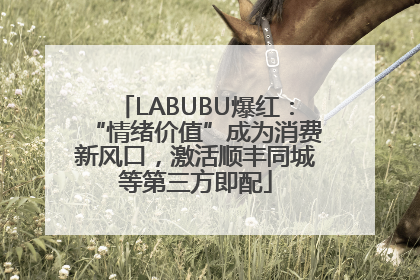 LABUBU爆红：“情绪价值”成为消费新风口，激活顺丰同城等第三方即配