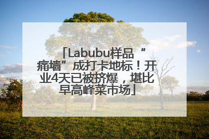 Labubu样品“痛墙”成打卡地标！开业4天已被挤爆，堪比早高峰菜市场