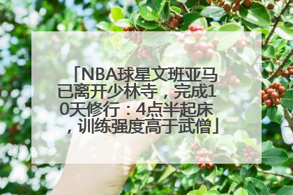 NBA球星文班亚马已离开少林寺，完成10天修行：4点半起床，训练强度高于武僧