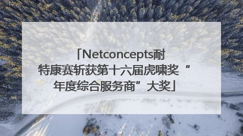 Netconcepts耐特康赛斩获第十六届虎啸奖“年度综合服务商”大奖