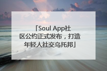 Soul App社区公约正式发布，打造年轻人社交乌托邦