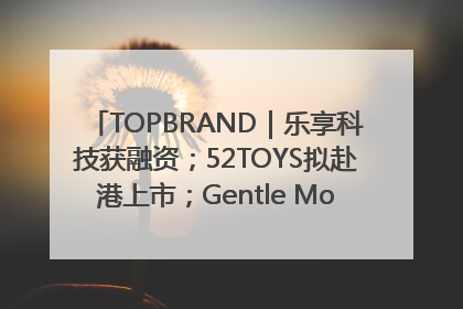 TOPBRAND｜乐享科技获融资；52TOYS拟赴港上市；Gentle Monster合作谷歌；Valentino传播官离职