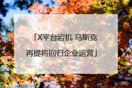 X平台宕机 马斯克再提将回归企业运营